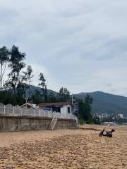 Gaoluo Beach National Forest Belt under Special Protection