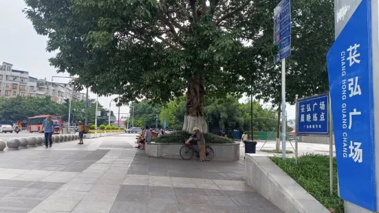 Ziyangshi Changhong Square