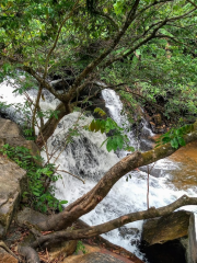 Waterfall Bride's Veil II