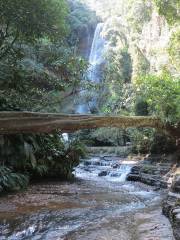 Parque Ecológico Cascadas de Juan Curi