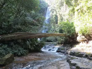 Parque Ecológico Cascadas de Juan Curi