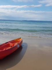 Noosa Beach Surf Hire