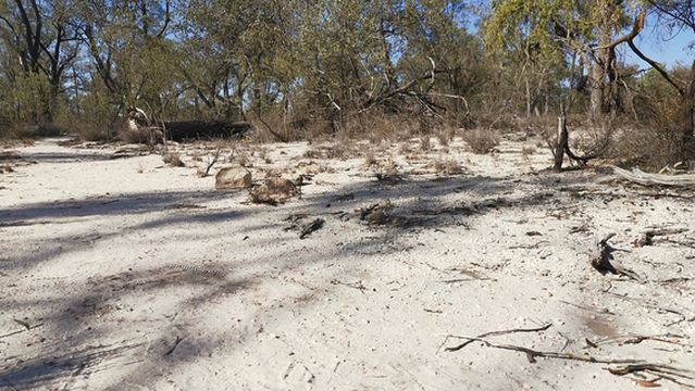 Tregole National Park