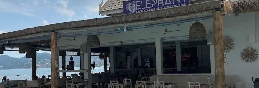 Elephant Beach Club