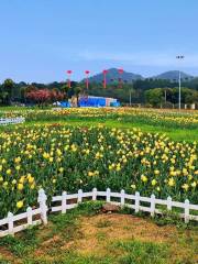 Huaqiangu Scenic Area