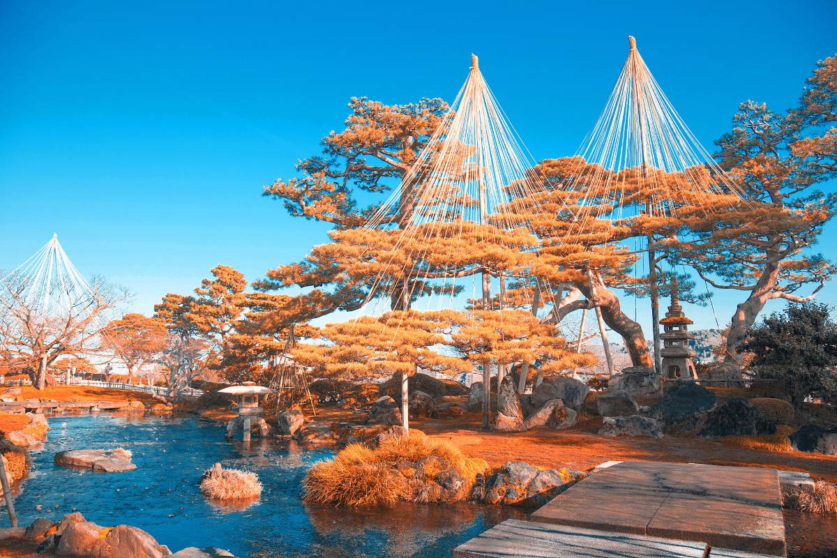 日本紅葉 | 兼六園