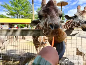 Wildwood Wildlife Park Zoo & Safari