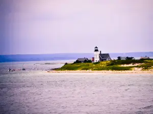 Hyannis Whale Watcher Cruises