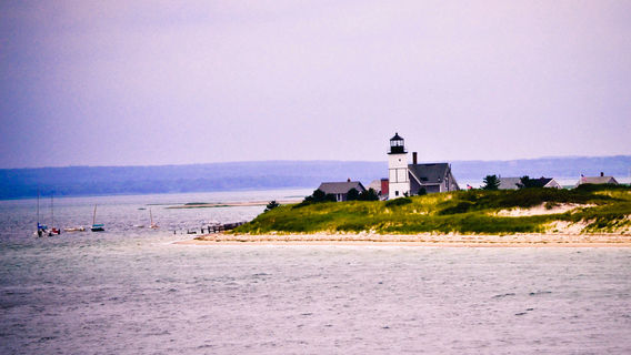Hyannis Whale Watcher Cruises