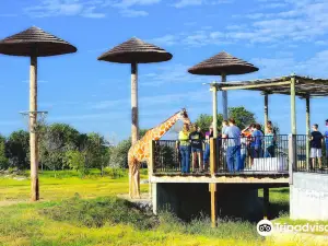 Tanganyika Wildlife Park