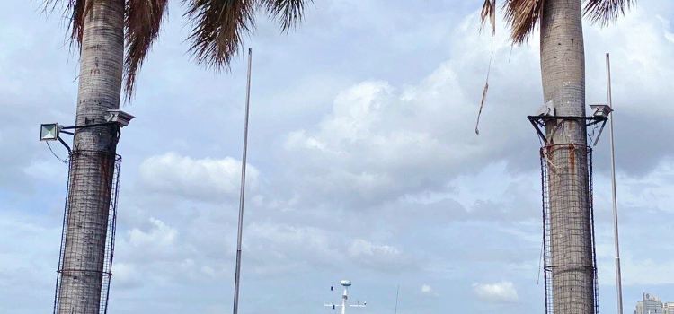 Harbour Square