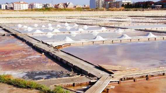 Salt Museum
