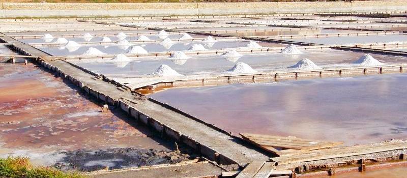 Salt Museum