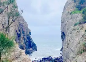 仙人井