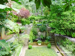 Gibraltar Botanic Gardens