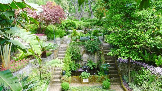Gibraltar Botanic Gardens
