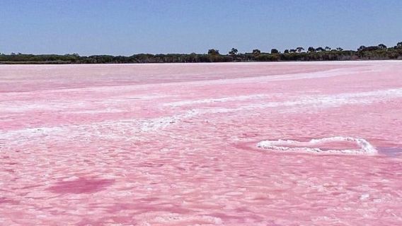Pink Lake