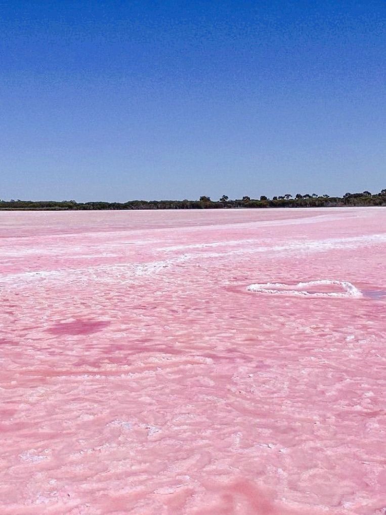 Pink Lake