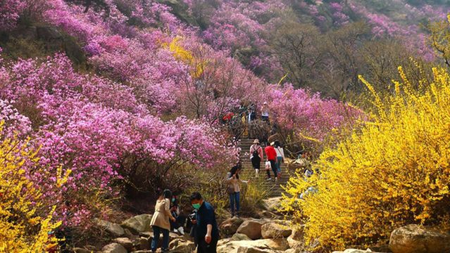 Flower Viewing Hiking Trail