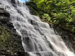 Waverly Glen Park