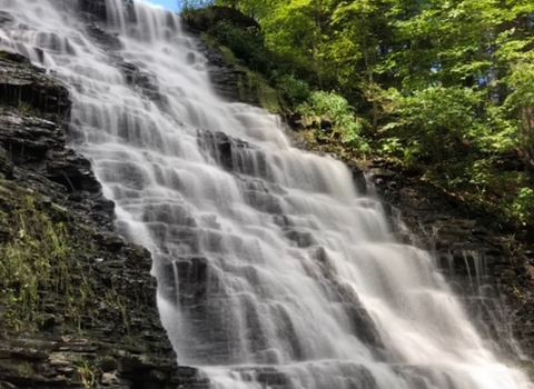 Waverly Glen Park