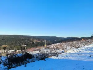 Ski Center Bublava