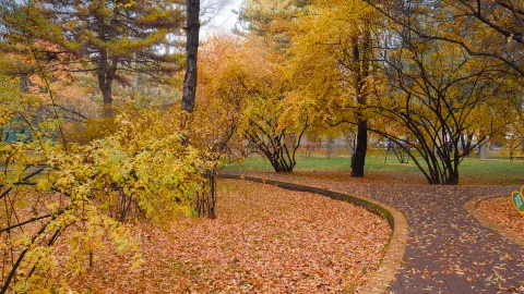 Xining Botanical Garden attraction in Xining