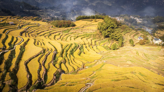 Yunhe Terrace Scenic Area