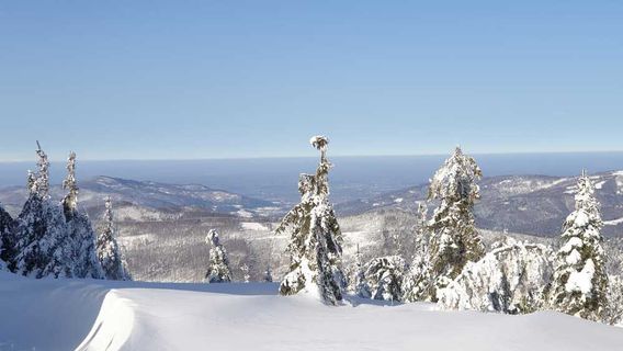 Szczyrk Mountain Resort Solisko - koleje kanapowe