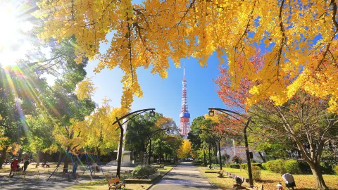 Shiba Park attraction in Tokyo