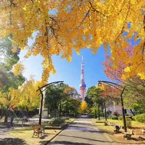 芝公園