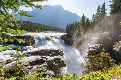 Maligne Canyon