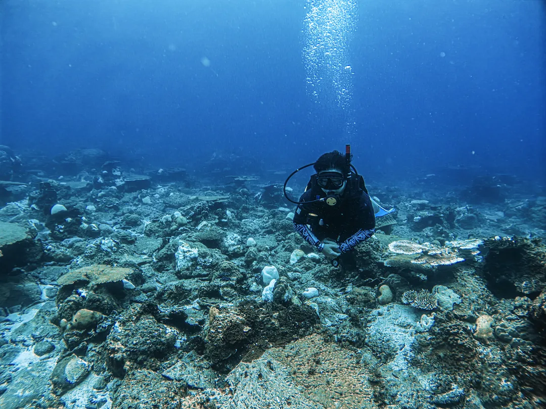 5_Lang Tengah Island