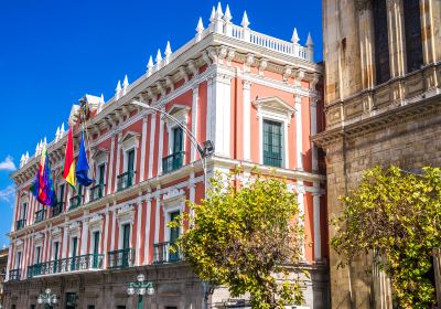 Government Palace