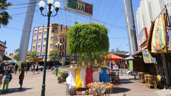 Avenida Revolucion