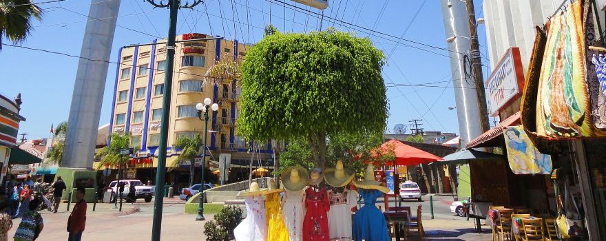 Avenida Revolucion