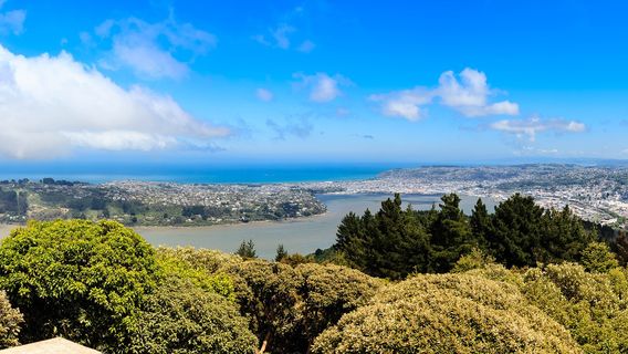Signal Hill Lookout