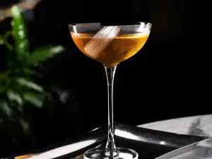 아부다비의 바 (Bar) 베스트 10