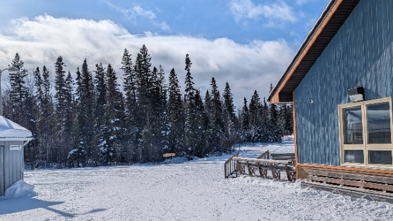 Porcupine Ski Runners
