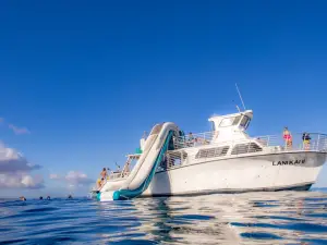 Maui Snorkeling