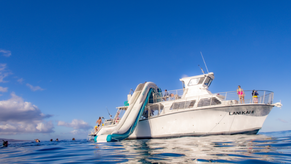 Maui Snorkeling
