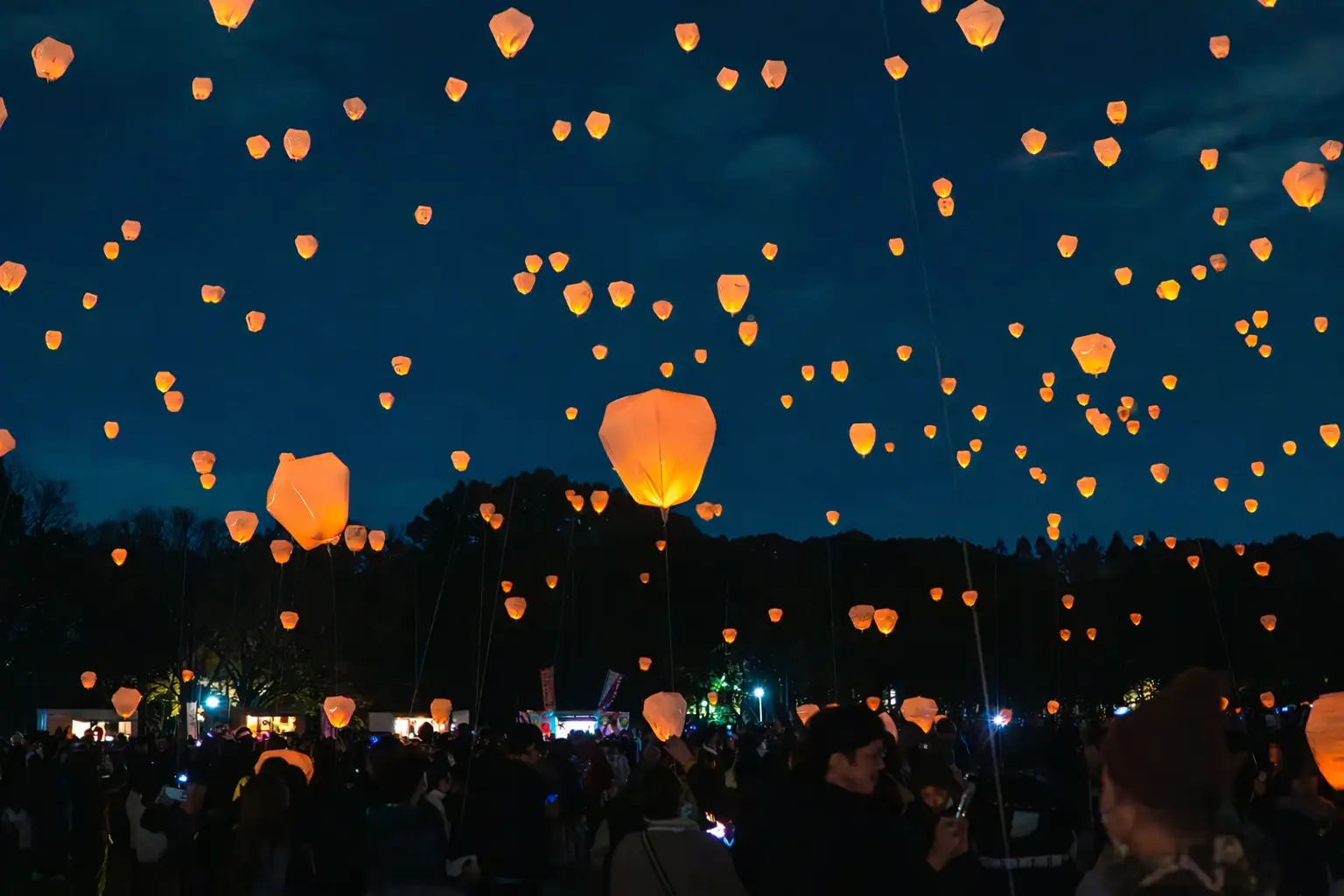Daisen Park Thanks Lantern 2026 | Sakai
