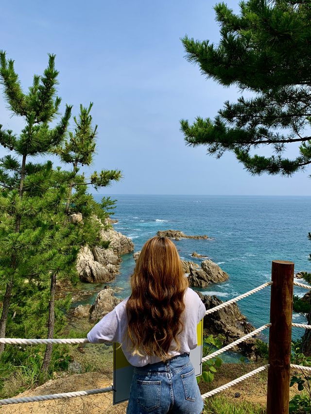 한국의 나폴리 <삼척 장호항>