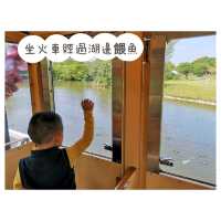 近距離接觸各種鳥類，仲有湖邊風景好好睇！|  沖繩自然動植物公園 Neo Park