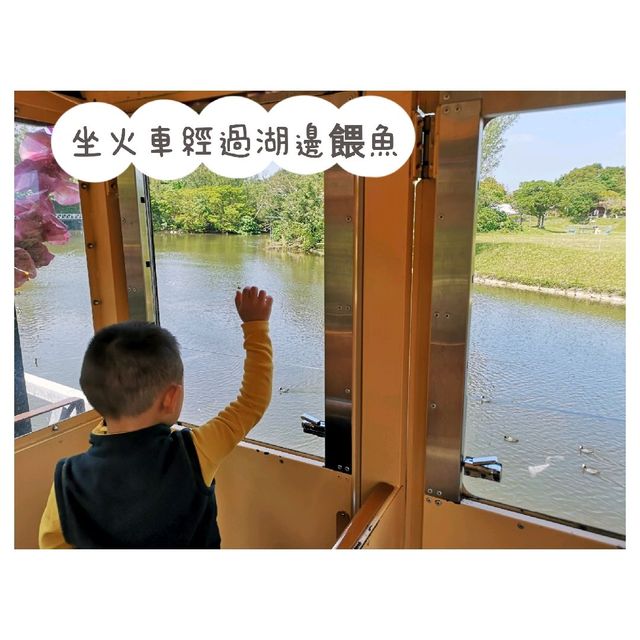 近距離接觸各種鳥類，仲有湖邊風景好好睇！|  沖繩自然動植物公園 Neo Park