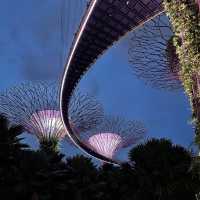 The GARDEN BY THE BAY