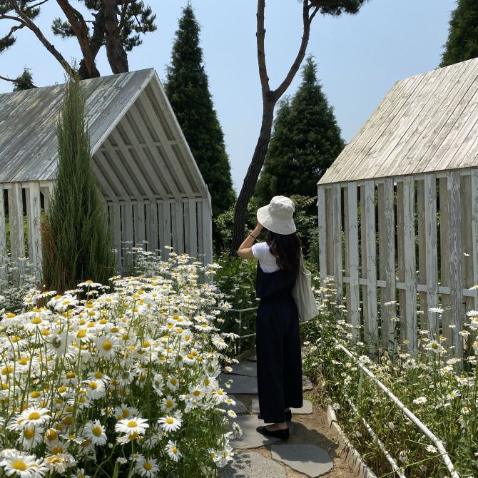 📍강화도 도레도레 카페 🌼 ~초여름 방문해야할 카페 | 트립닷컴 인천 트래블로그