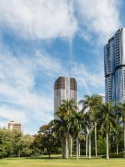 Jardín Botánico de la Ciudad de Brisbane