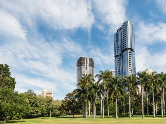 Brisbane City Botanic Gardens