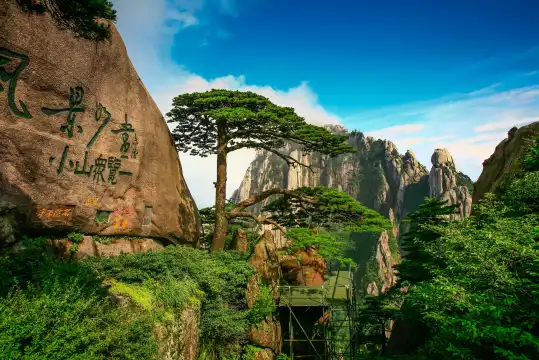 Hotels near The Guest-Greeting Pine